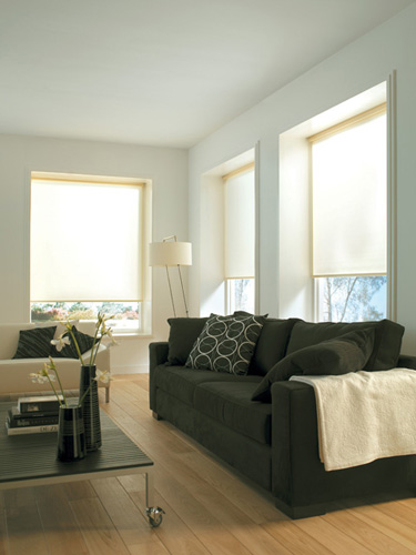 Roller Blinds for Living Room